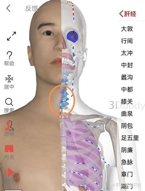 天谷穴|甲状腺结节按摩治疗的方法有什么